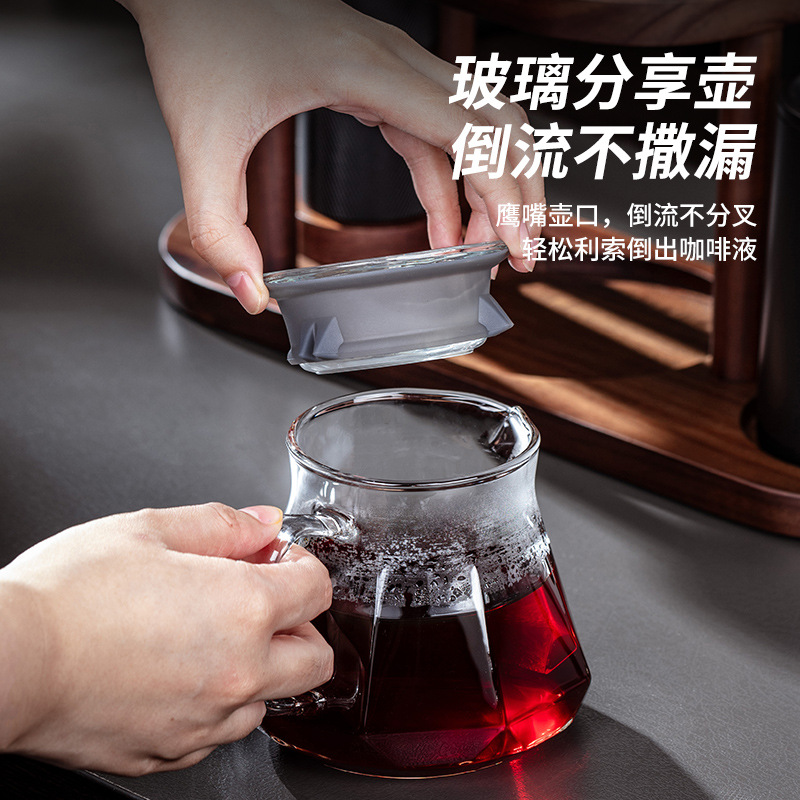 Glass Coffee Server Pour Over  - Coffee Equipment Kit 评论和价格